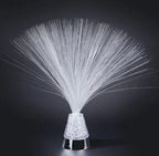 Fiber Optic Lamp