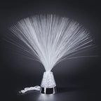 Fiber Optic Lamp